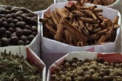 香辛料的運用原則及用法用量